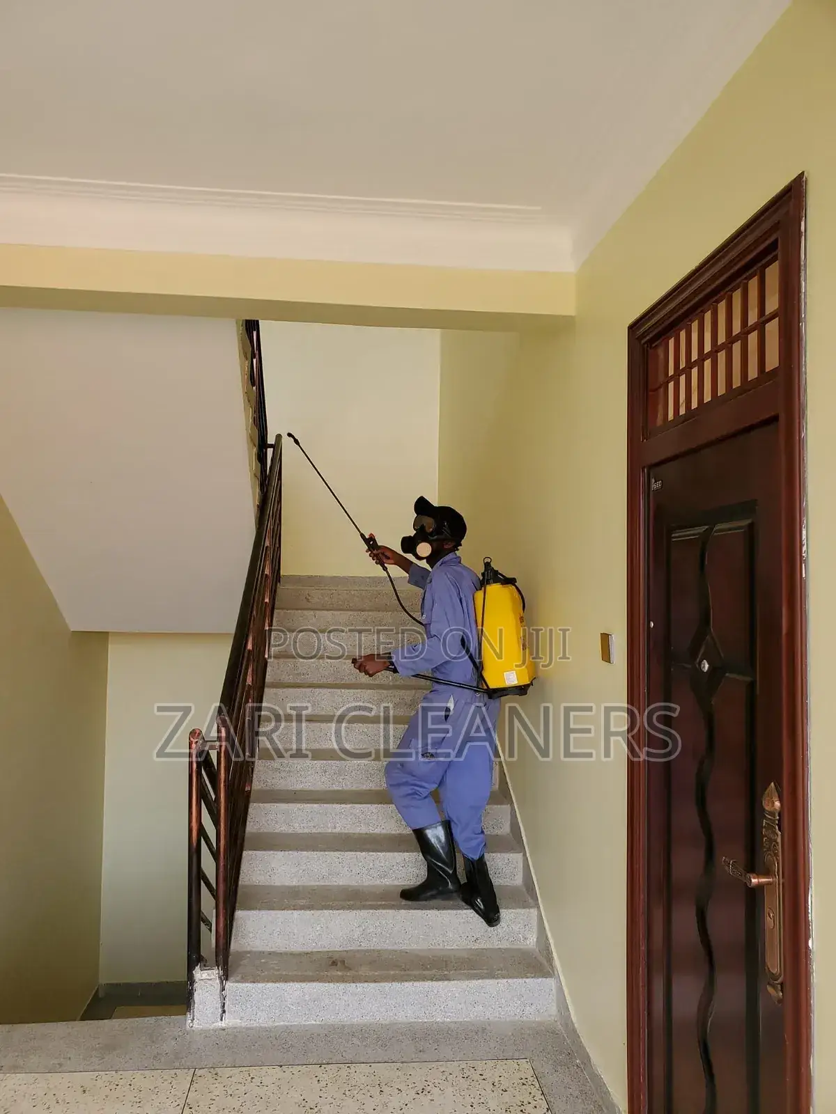 Solid Fumigation Against Cockroaches and Bedbugs