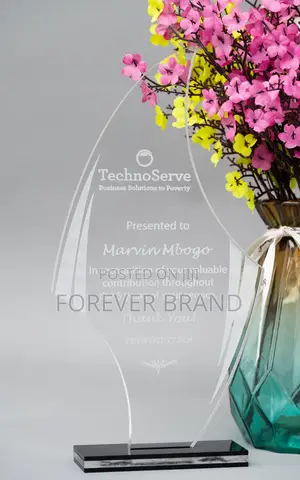 Customized Acrilic Award