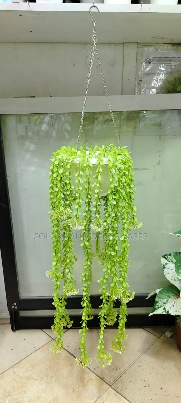 White Vase and Vines
