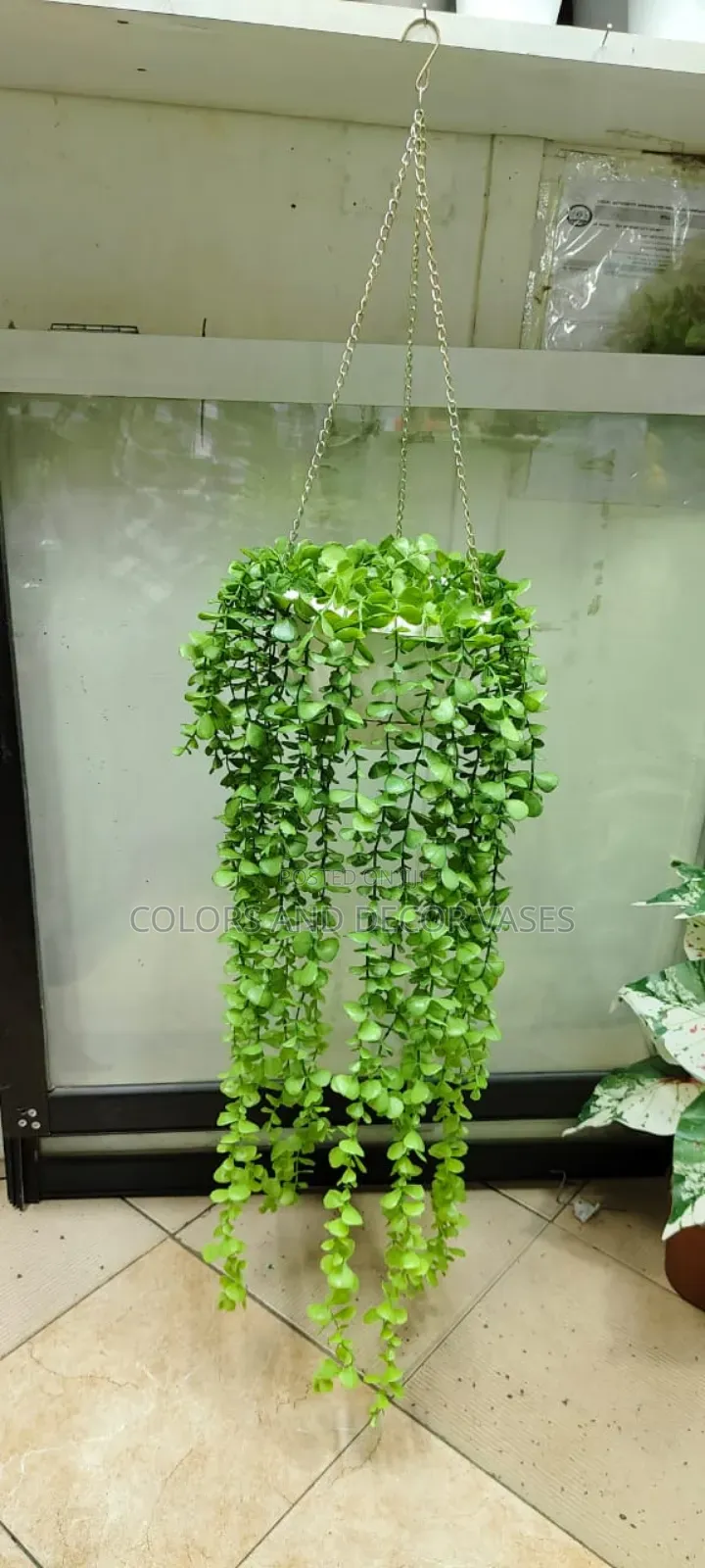 Vines and Vases Plastic