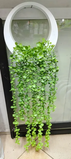 Vines With Round Vase