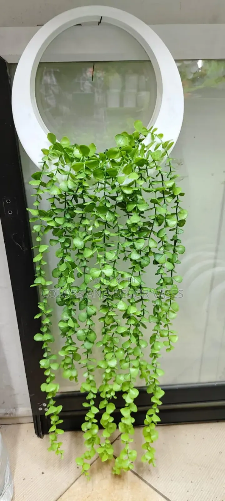 Vines With Round Vase