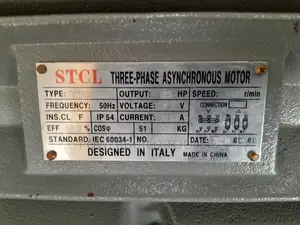 25HP Low Speed Motor Italian STCL