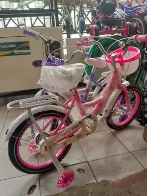 Pink Ladybird Girls Bicycle Size 16