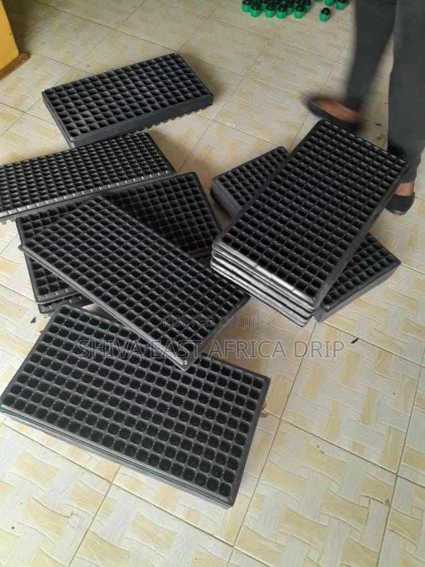 Seedlings Trays 200 Holes - thumbnail 2