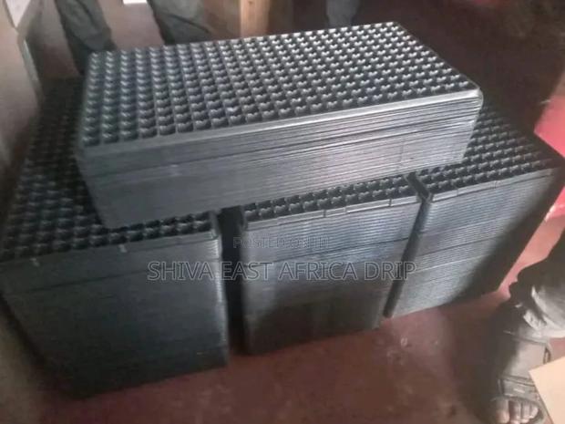 Seedlings Trays 200 Holes - thumbnail 3