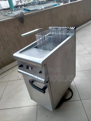 Imported Model Chips Fryer