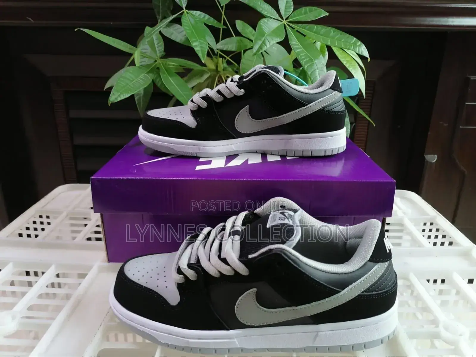 Nike Sb Low Pro