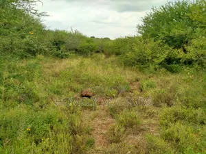 2 and a Half Acres for Sale in Ngong, Saikeri. Red Soil