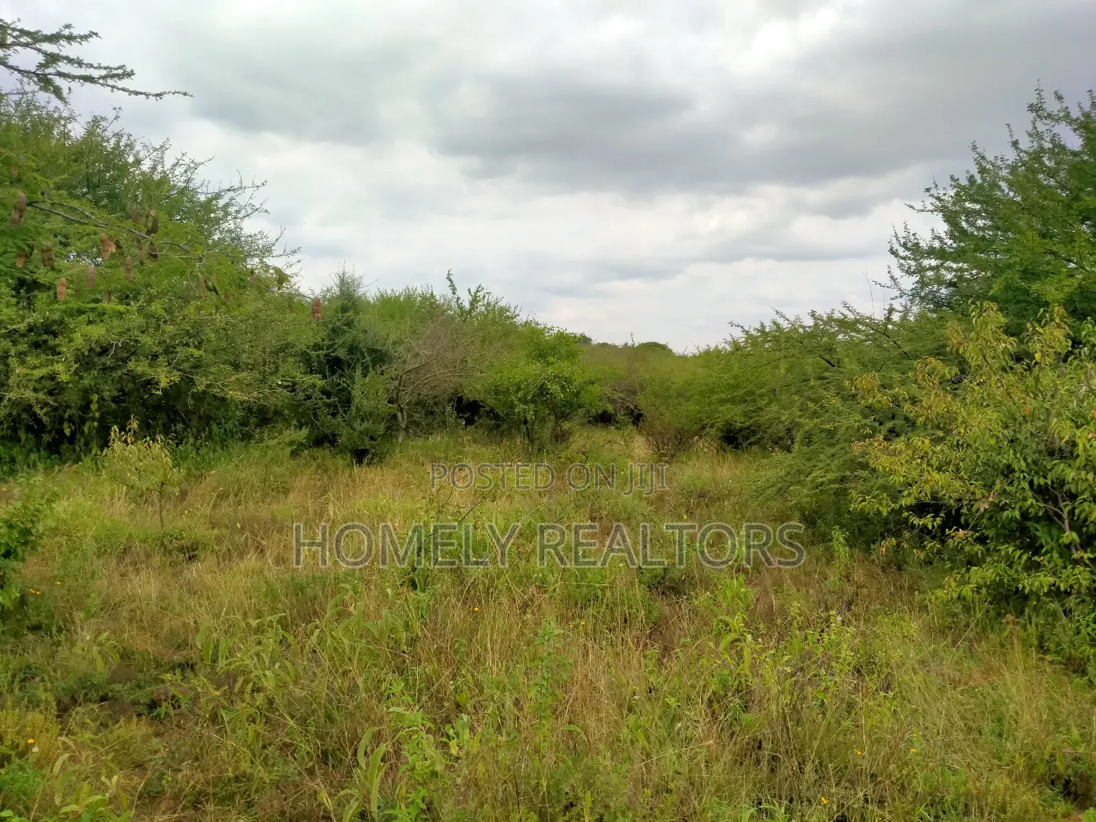 2 and a Half Acres for Sale in Ngong, Saikeri. Red Soil