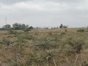 Acacia Plots for Sale