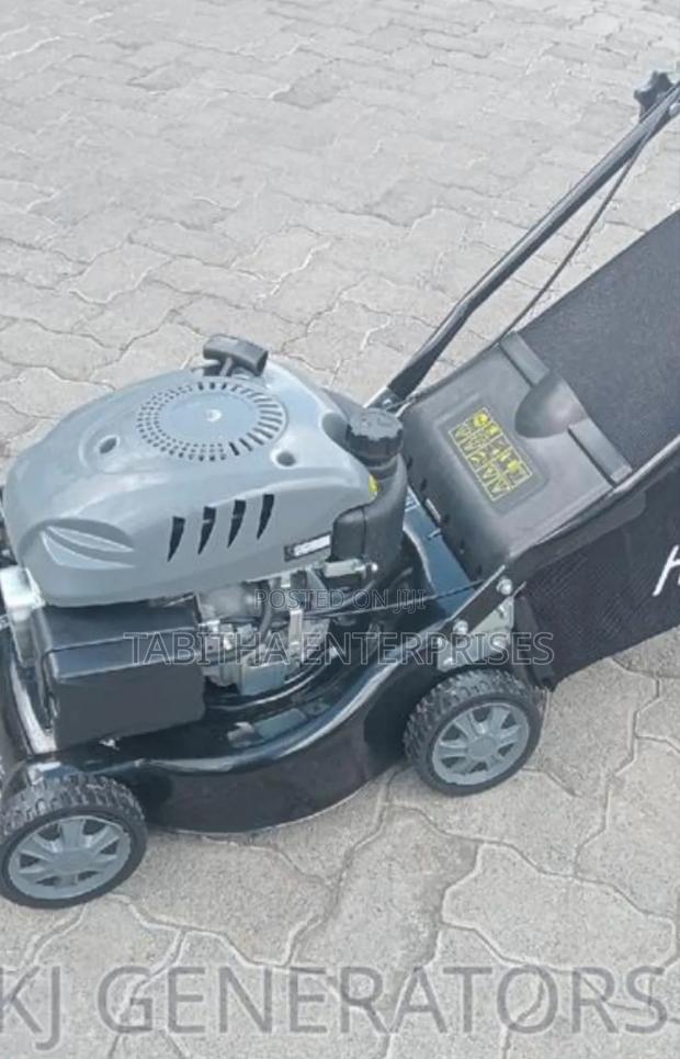 Grass Cutting Lawn Mower/ - main view