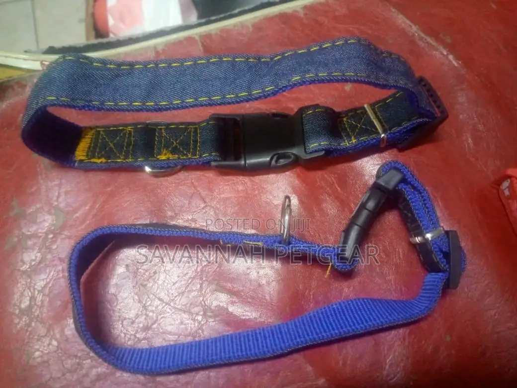 Dog Collar Neck Belt - Embroidered Denim (Small Size)