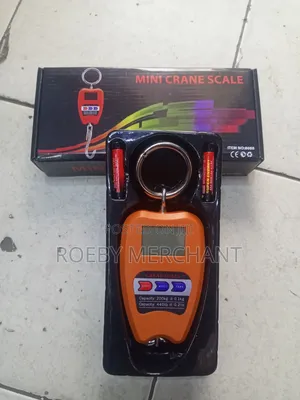 200kgs Digital Mini Crane Scale.
