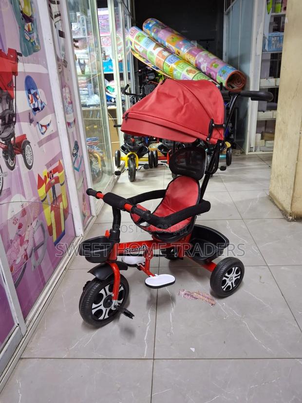 Tricycle With Push Handle and Canopy - main view