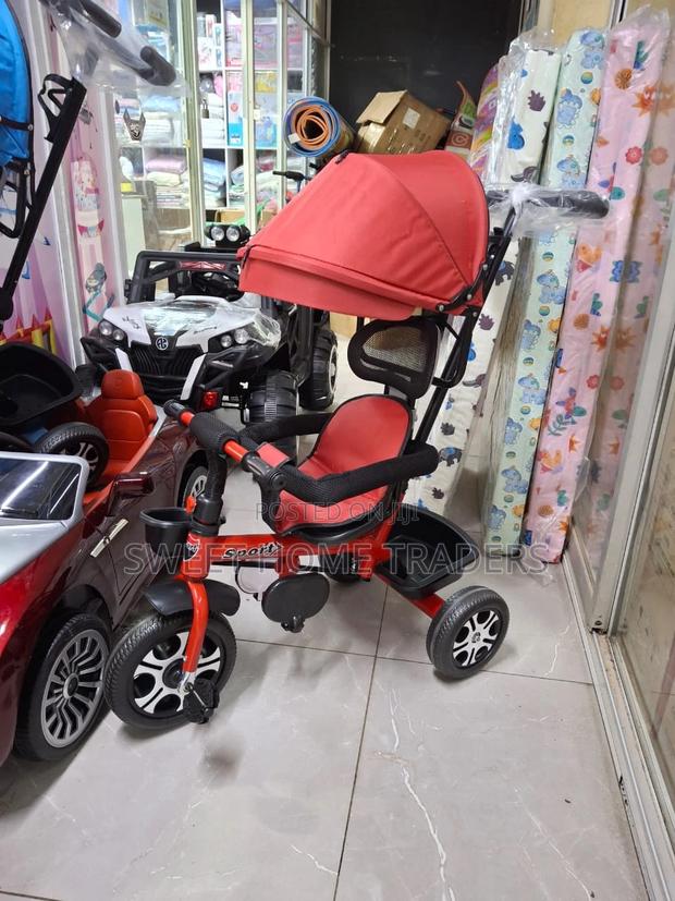 Tricycle With Push Handle, Canopy - main view