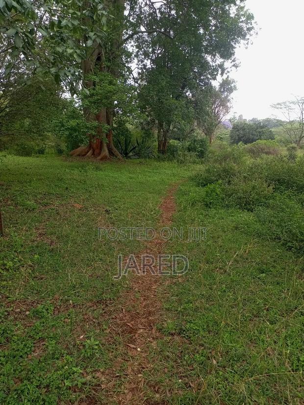 Land for Sàle - main view