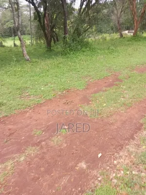 Land For Sàle