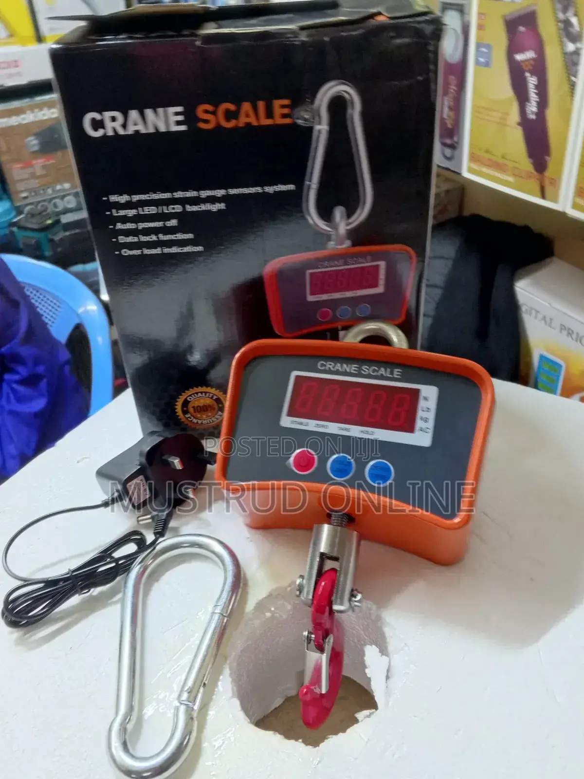500kg Crane Scale