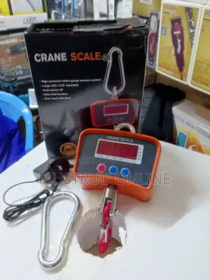 500kg Crane Scale