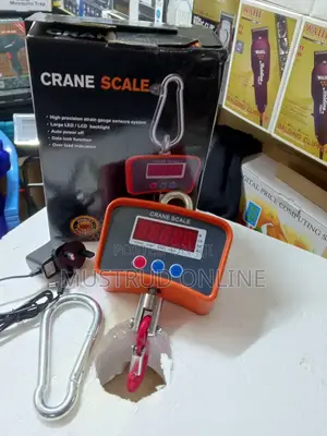 0.5t Hanging Crane