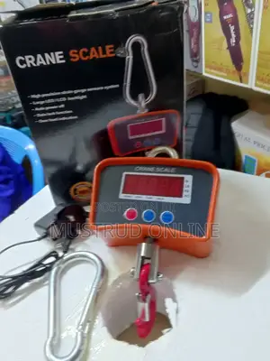 0.5t Hanging Crane