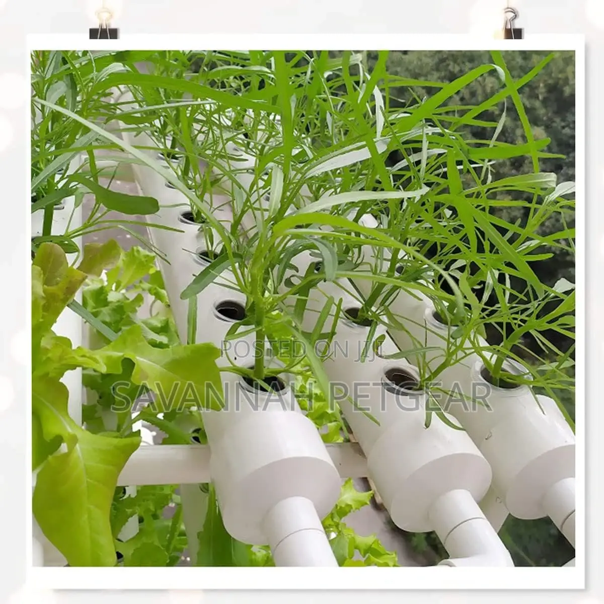 Net Pot for Hydroponics Garden Net Cup Plastic -White(100pc