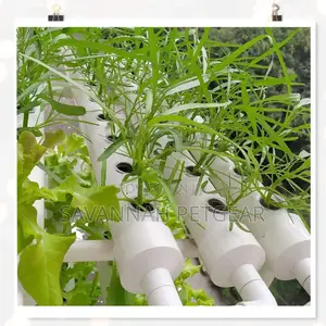 Net Pot for Hydroponics Garden Net Cup Plastic -White(100pc