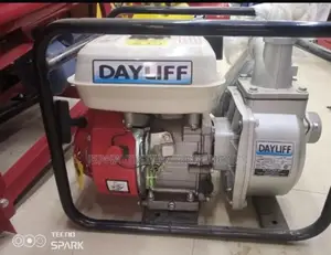 Dayliff Water Pump