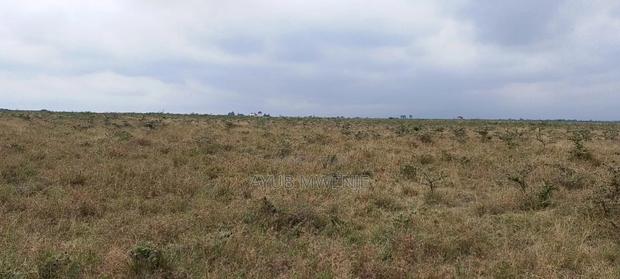 100 Acres of Land for Sale at Malaa
