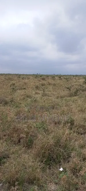 100 Acres of Land for Sale at Malaa