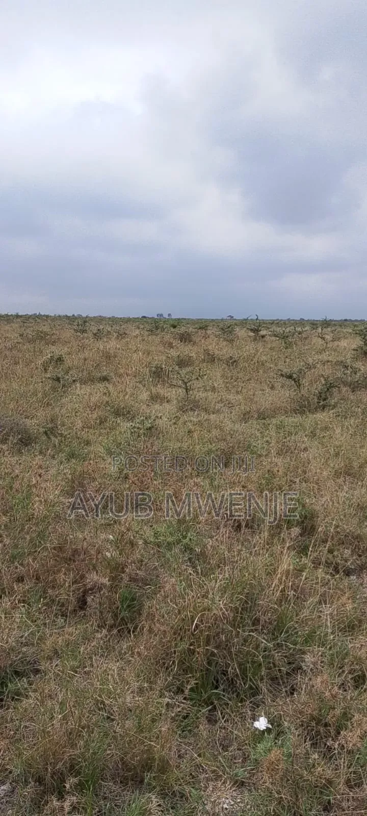 100 Acres of Land for Sale at Malaa
