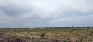 100 Acres of Land for Sale at Malaa