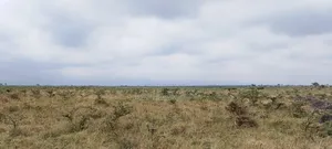 100 Acres of Land for Sale at Malaa
