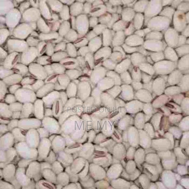 Mucuna/ Velvet Beans - main view