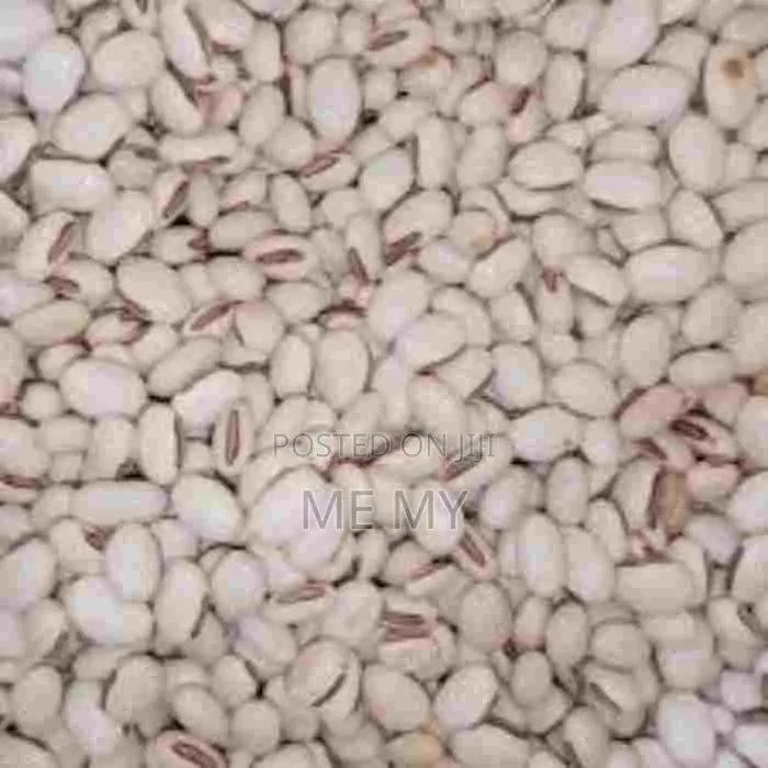 Mucuna/ Velvet Beans