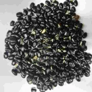 Mucuna/ Velvet Beans