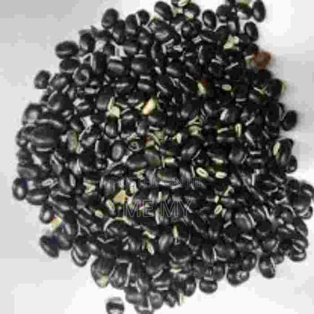 Mucuna/ Velvet Beans - thumbnail 4