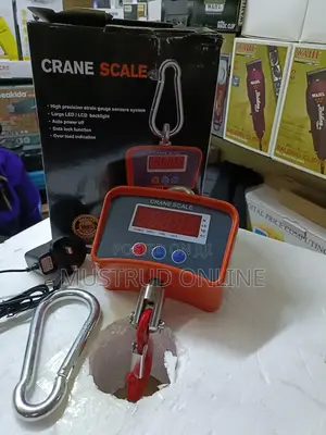 Heavy Duty Crane Scale 500kg