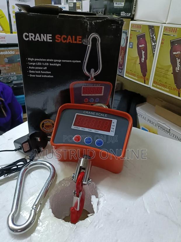 Heavy Duty Crane Scale 500kg