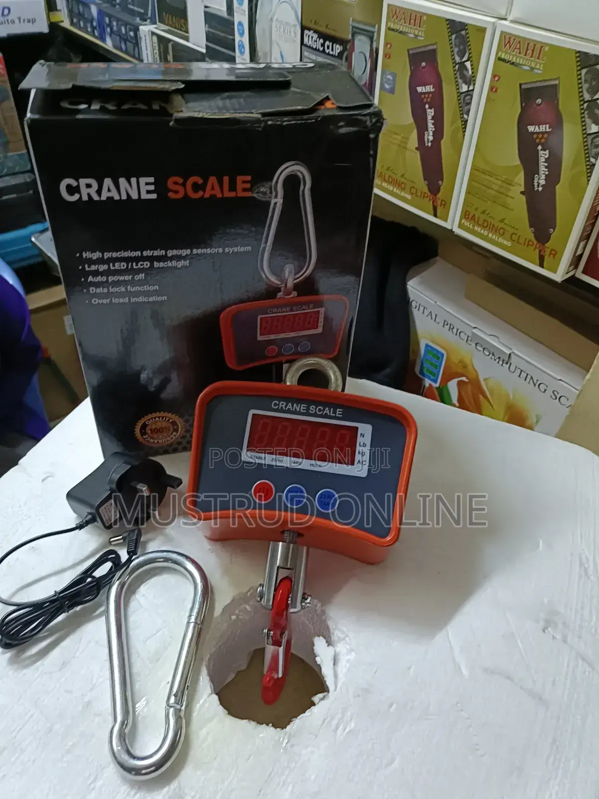 Heavy Duty Crane Scale 500kg