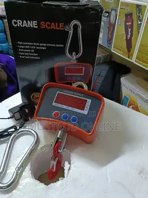 Crane Scale- Half Tone, 500kg