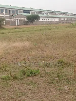 Quarter an Acre on Sale at Kianjau