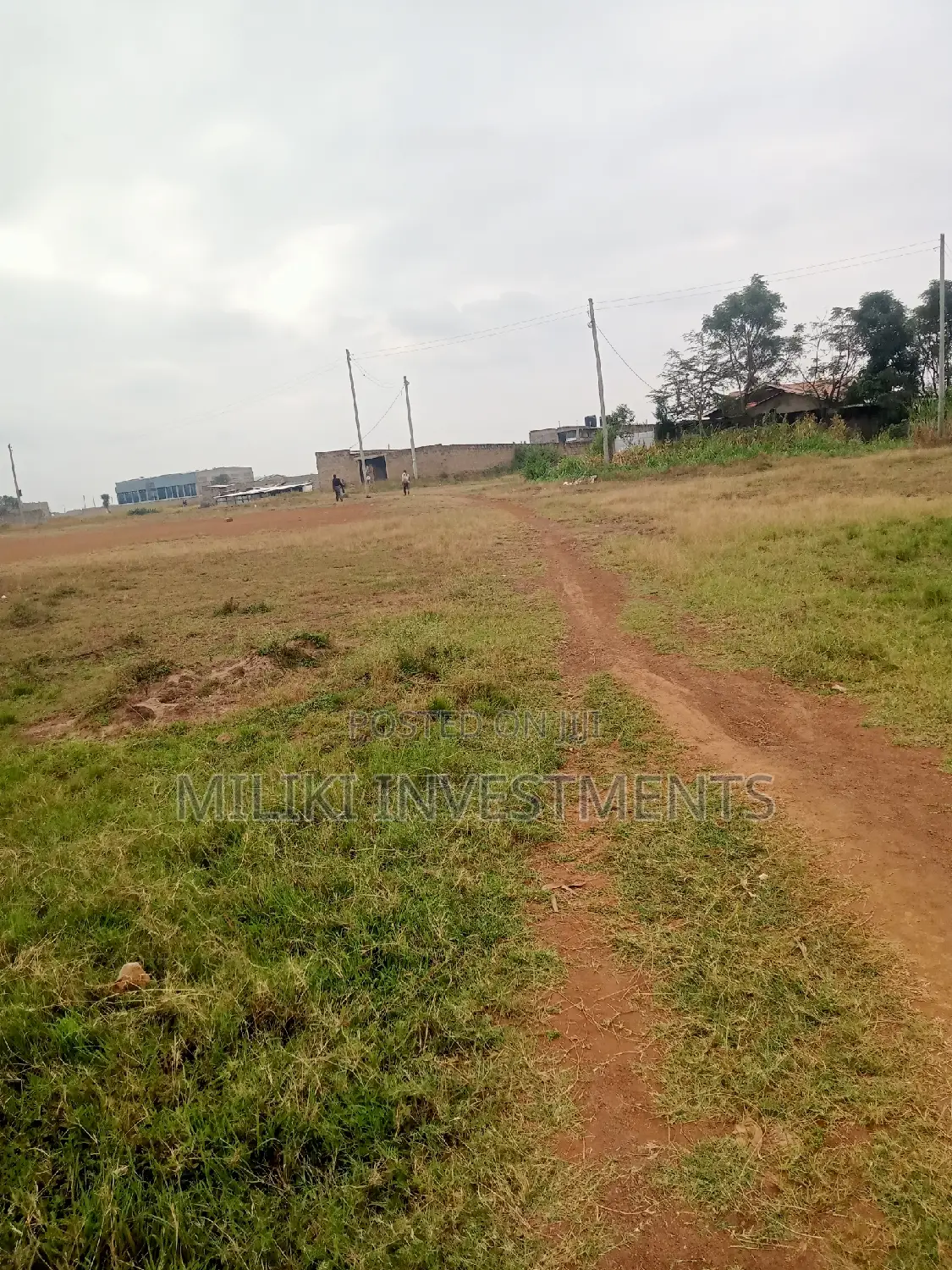 Quarter an Acre on Sale at Kianjau