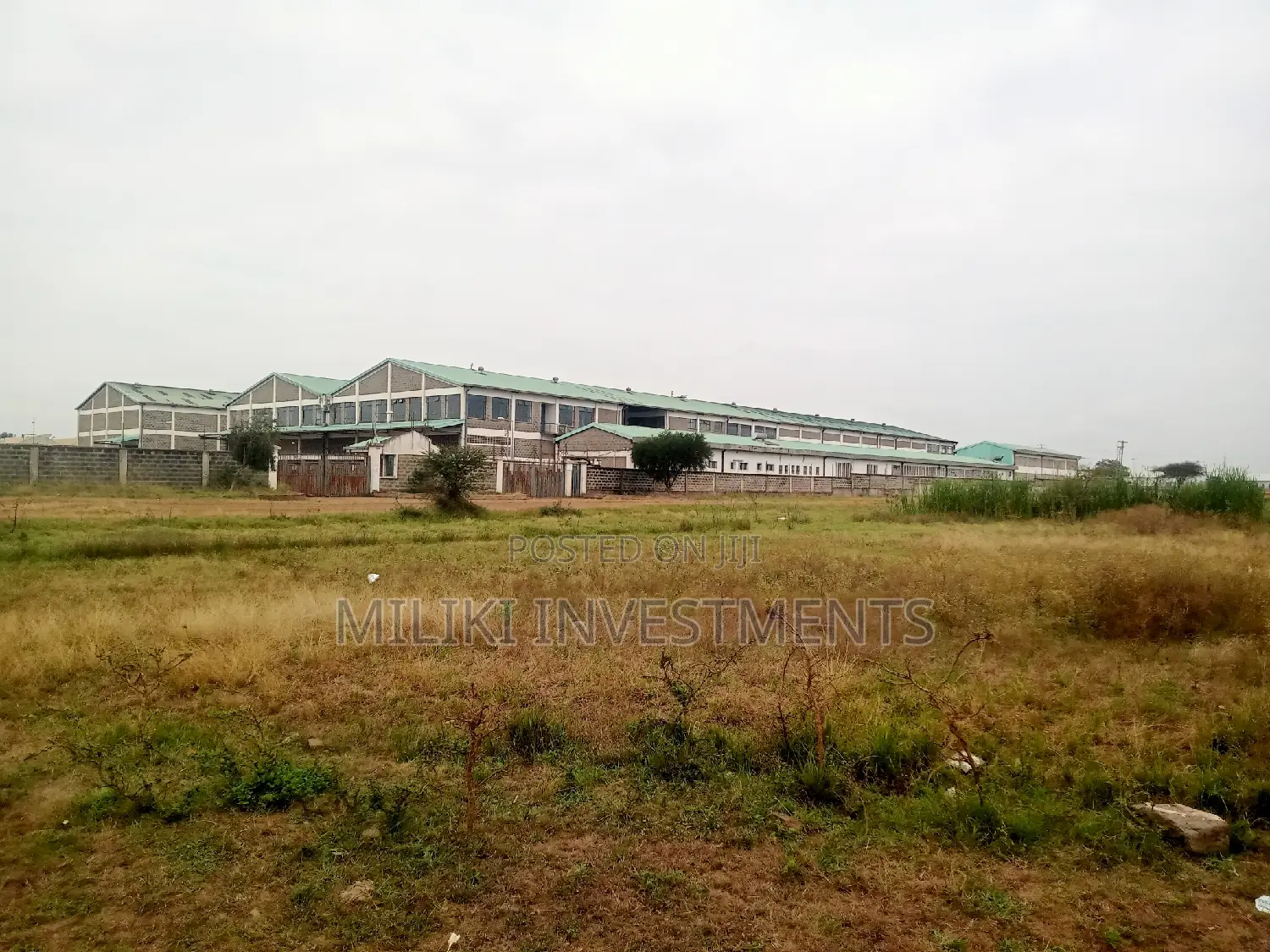Quarter an Acre on Sale at Kianjau