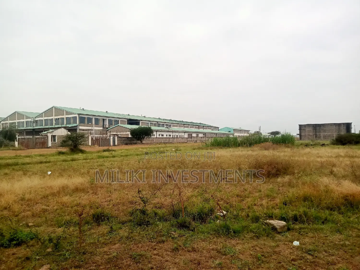 Quarter an Acre on Sale at Kianjau