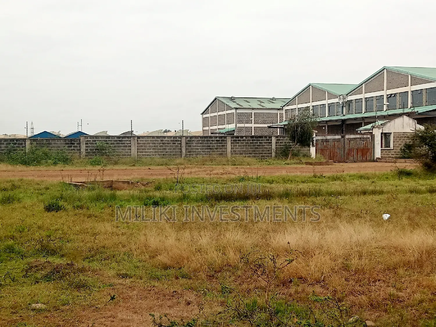 Quarter an Acre on Sale at Kianjau