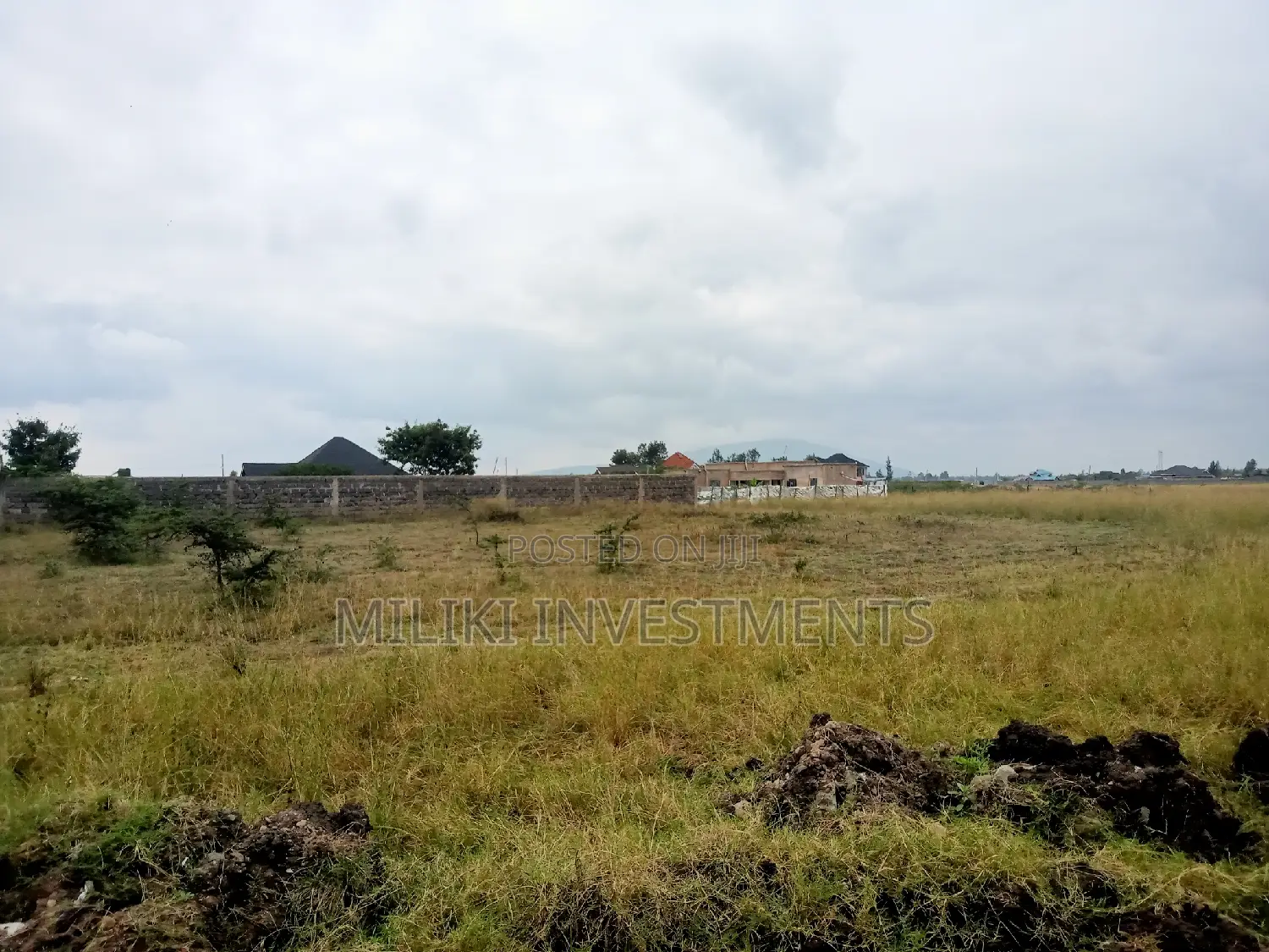 50 by 100 Plot on Sale at Landless.Thika
