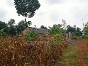50 by 100 Plot on Sale at Sabasaba
