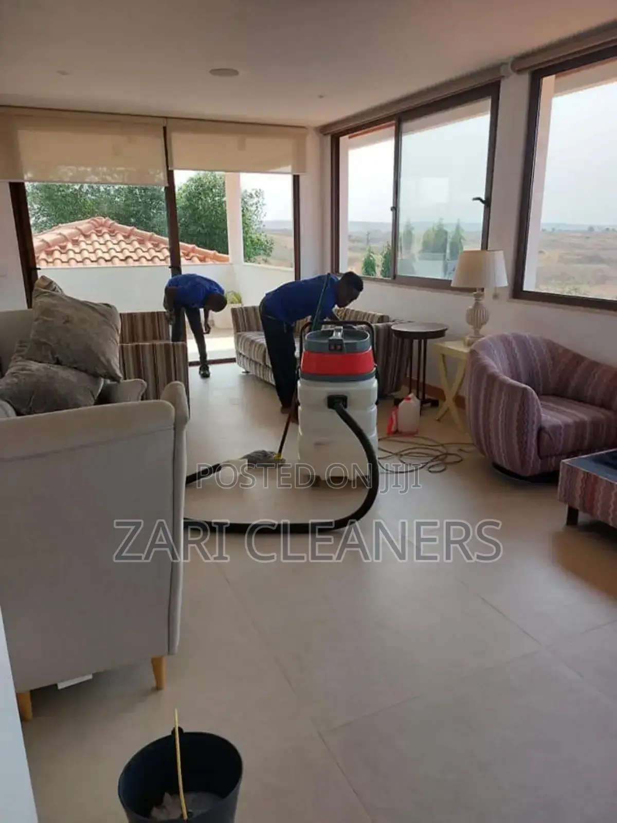 Best Carpet and Sofa Cleaners Near You